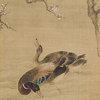 Plum Trees, Camellias, and Ducks. By Shen Quan. Kyoto National Museum
