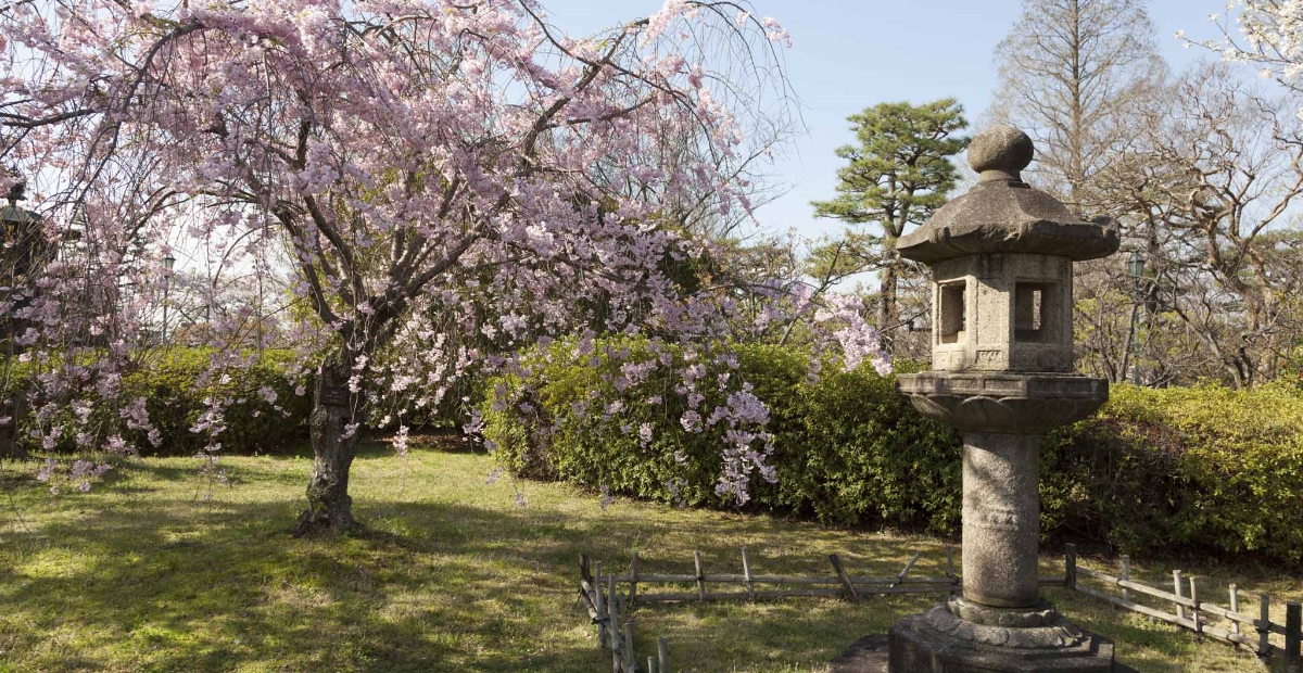 西庭院