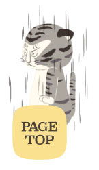 トラりんサイトイメージ