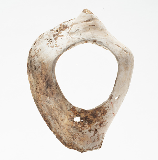 Shell Bracelet. From Ōtsubo Tomb No. 1, Miyazaki. Saitobaru Archaeological Museum of Miyazaki Prefecture