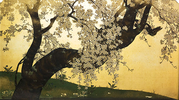 Cherry Blossoms, from Cherry Blossoms; Pine and Wisteria. By Mochizuki Gyokusen. Higashi Hongan-ji Temple, Kyoto (on view March 25–May 21, 2023; panels rotated April ????) 
