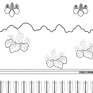 Dobuku Coat with Paulownias and Arrows 