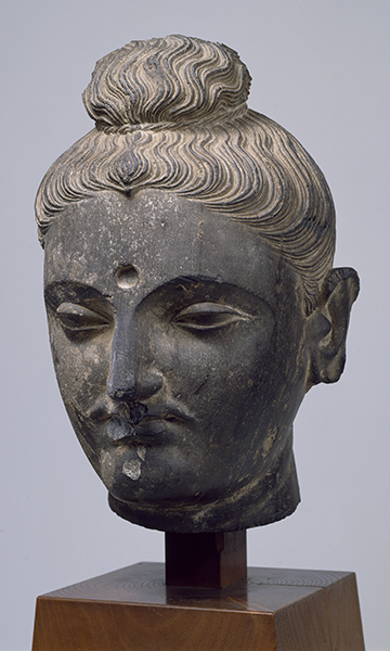 図1　如来頭部（にょらいとうぶ）　パキスタン　ガンダーラ（２～３世紀）　＜京都国立博物館蔵＞