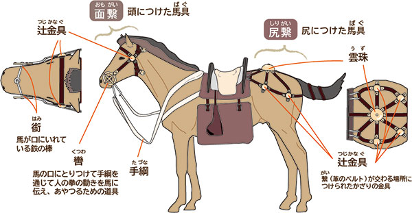 馬具をイラストで説明しています。「面繋（おもがい）」とは、馬の頭に装着する馬具（ばぐ）のことで、「轡（くつわ）」や「銜（はみ）」が含まれます。「轡（くつわ）」：馬の口にとりつけて手綱を通じて人の拳の動きを馬に伝え、あやつるための道具「銜（はみ）」：馬が口にいれている鉄の棒「尻繋（しりがい）」とは、馬の尻に装着する馬具（ばぐ）のことです。「辻金具（つじかなぐ）」・「雲球（うず）」とは、繋（革のベルト）が交わる場所につけられたかざりの金具です。