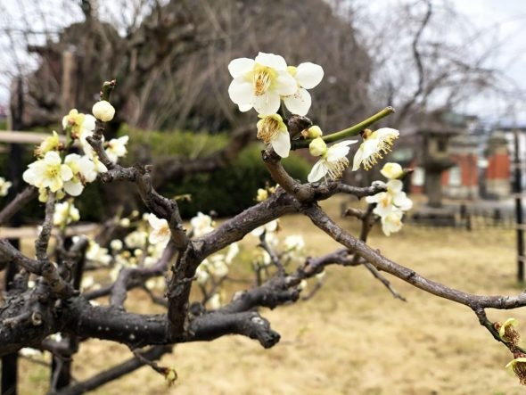 20180314-03.jpg
