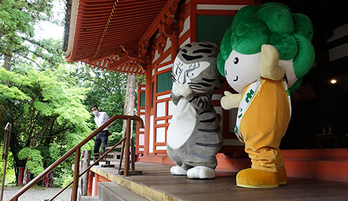 特別展「河内長野の霊地 観心寺と金剛寺─真言密教と南朝の遺産─」を予習するリン♪