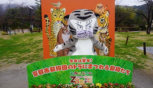 「京都市動物園」りんで7代目アニマル園長をお祝いしてきたよ♪