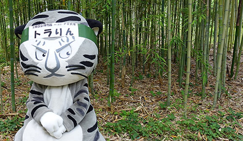 「京都府立植物園」りんにお邪魔したリン♪