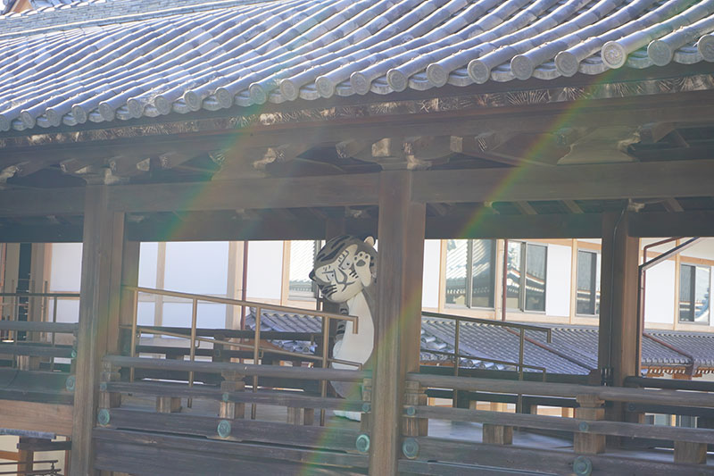 光の中のトラりん
