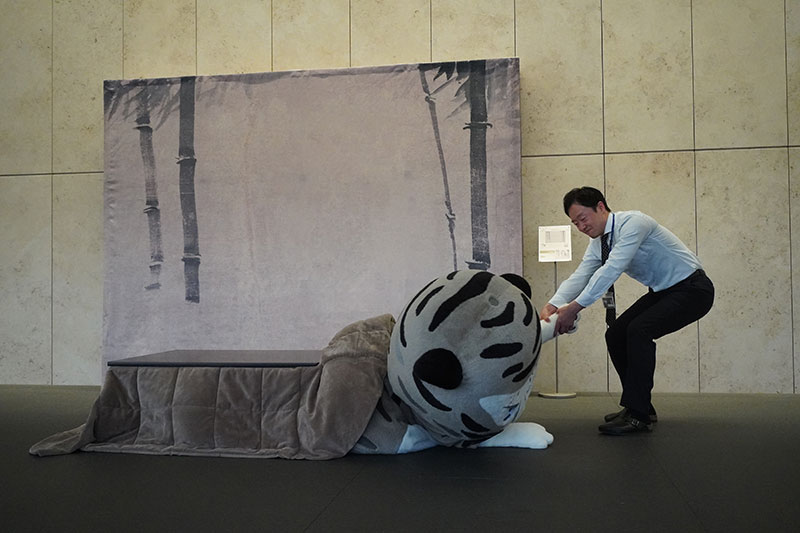 こたつから引きずり出されるトラりん