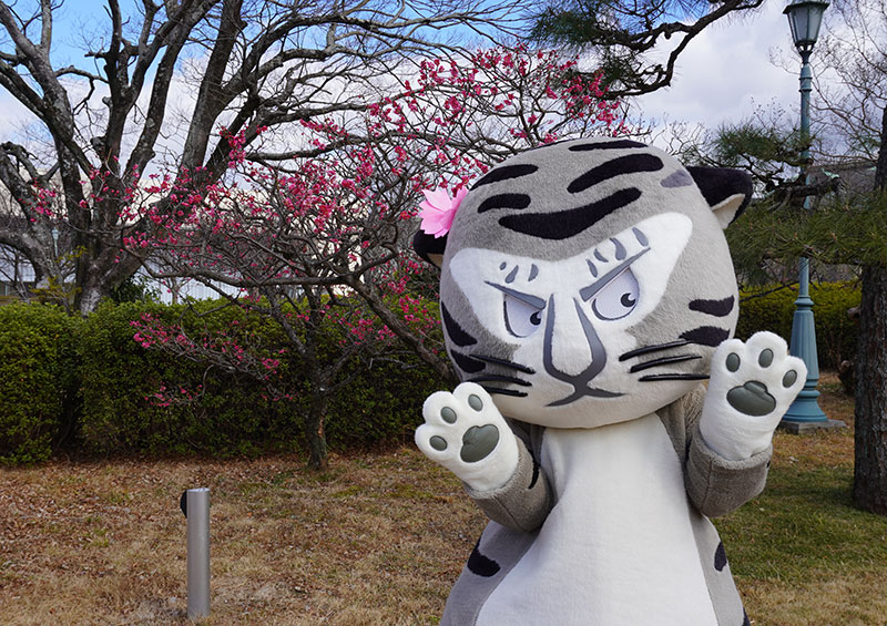 トラりん、庭園に登場