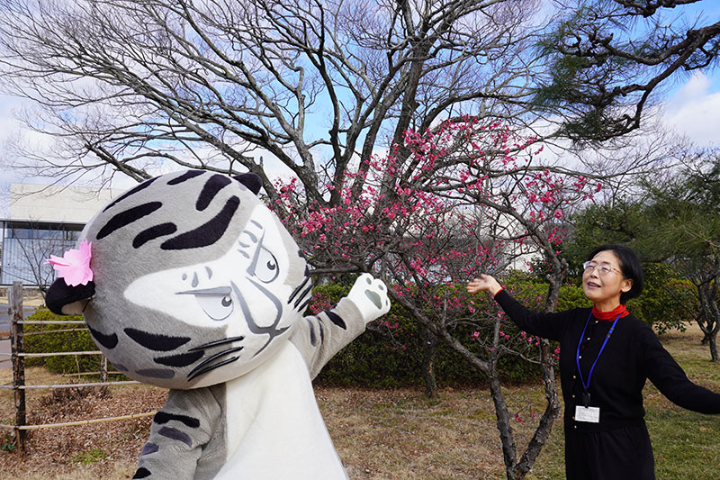山内研究員、登場