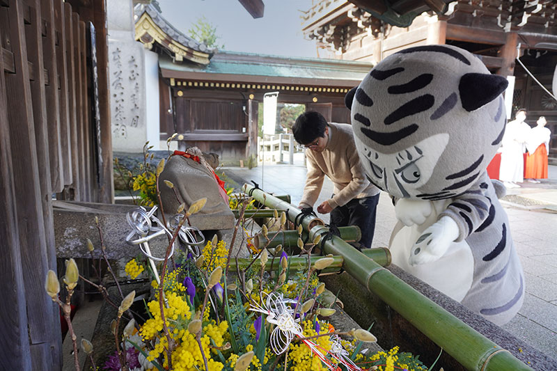 色とりどりの花にあふれる手水舎