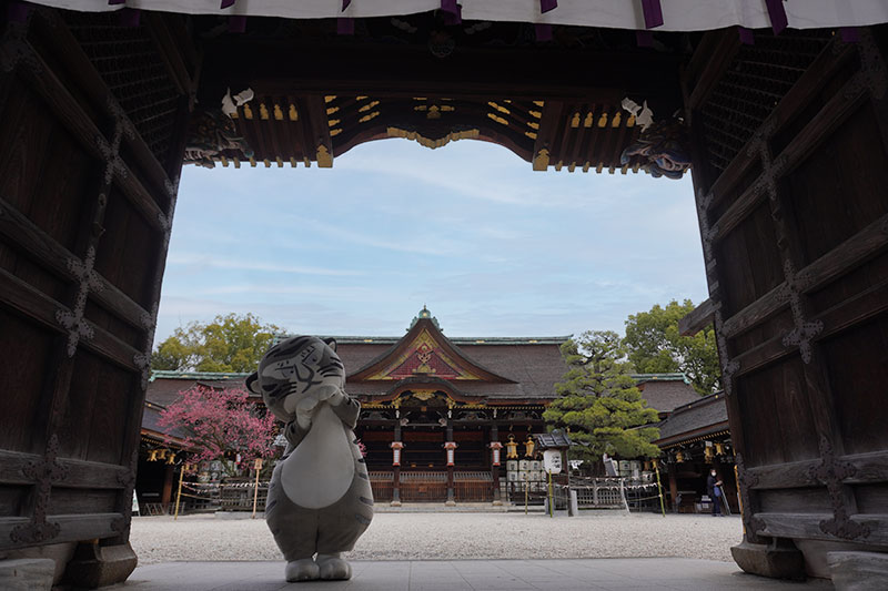 上を見上げるトラりん
