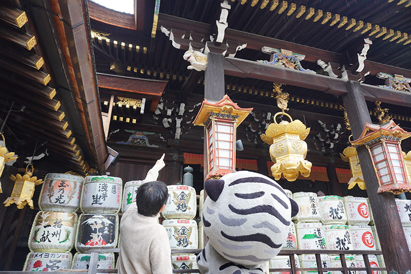 上を見上げて虎の彫刻を見つけたトラりん