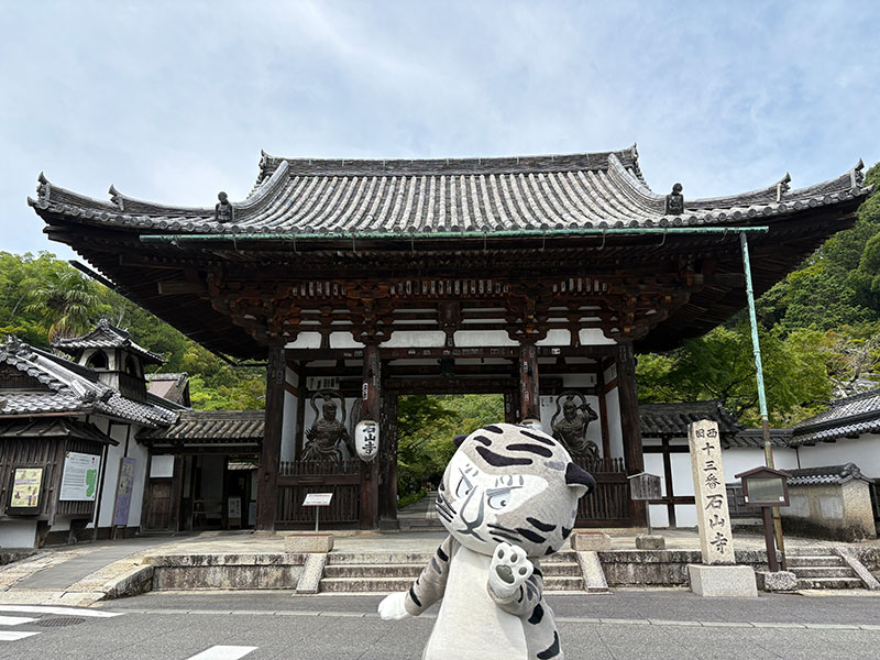 石山寺の正面、歴史を感じさせる東大門前にトラりんが登場
