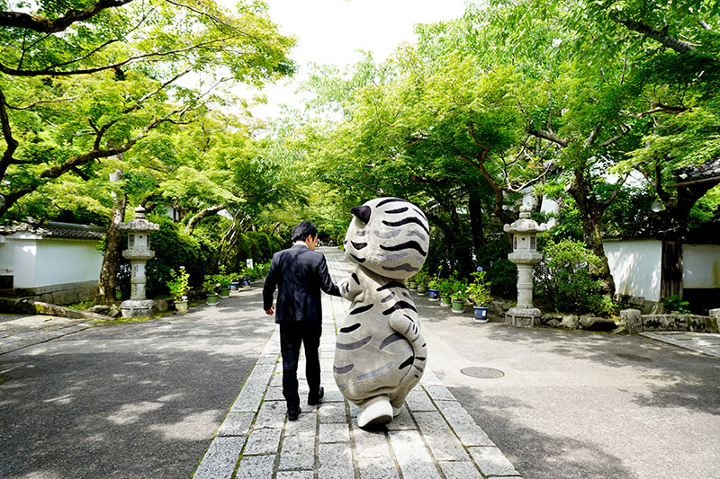 6月の深い緑の参道を歩く二人