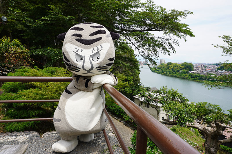 琵琶湖を背景にたそがれるトラりん