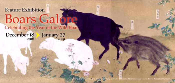 Feature Exhibition; Boars Galore: Celebrating the Year of the Wild Boar
