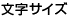 文字サイズ