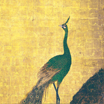 Peacock and Pine, by Kano Tan'yū (1602–1674). Important Cultural Property