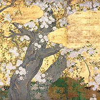 国宝　桜図壁貼付　長谷川久蔵筆　智積院（京都）