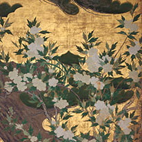 National Treasure. Pine Tree and Autumn Plants. By Hasegawa Tōhaku. Chishaku-in Temple, Kyoto [on view: July 24–August 22, 2021]