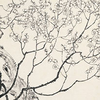Plum Blossoms in Ink By Qi Baishi Beijing Fine Art Academy