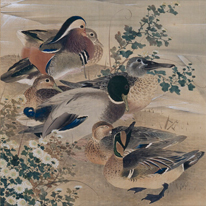 Waterfowls and Chrysanthemums, from Flying Geese and Cotton Roses and Waterfowls and Chrysanthemums by Maruyama Ōkyo, Important Cultural Property
