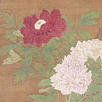 Important Cultural Property. Peonies. Kōtō-in Temple, Kyoto